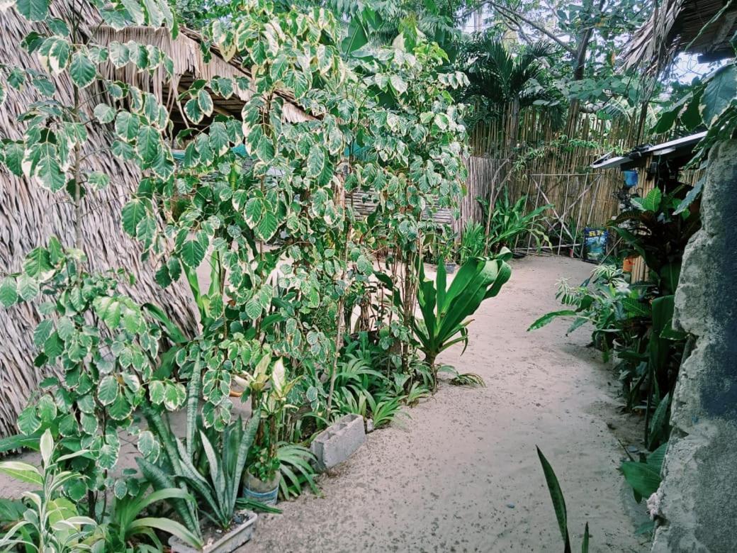 Locaroc 8 Star Paradise מראה חיצוני תמונה